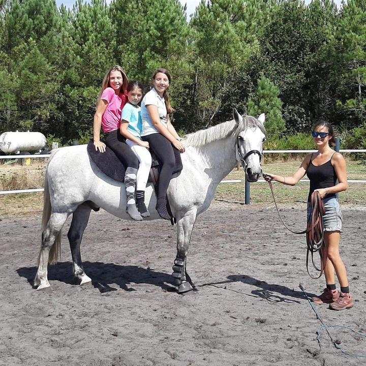 Pension pour chevaux Le Temple