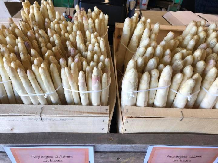 Asperges blanches Le Temple