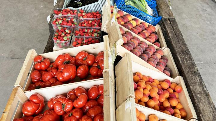 Production et vente de fruits et légumes Le Temple