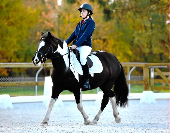 Des cours d'équitation pour tous les niveaux Le Temple