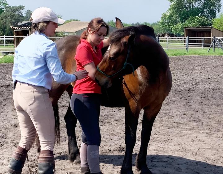 Centre pour des cours d'équitation Le Temple