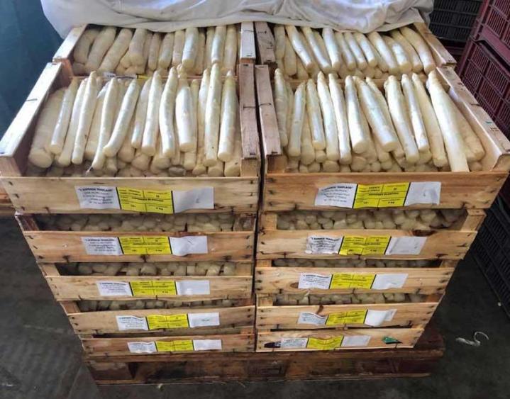Production et vente d'asperges Le Temple