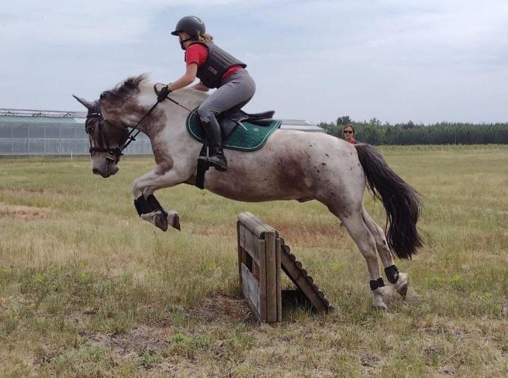 Cours d'équitation pour tous les niveaux Le Temple