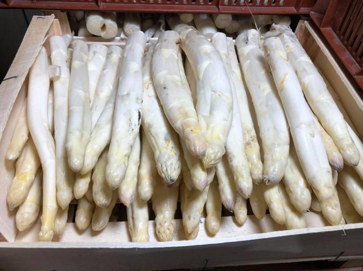 Production et vente d'asperges Le Temple