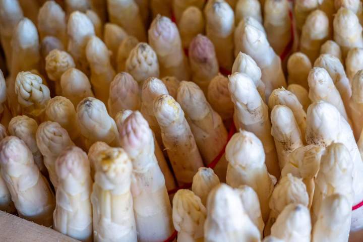 Producteur et vendeur d’asperges blanches