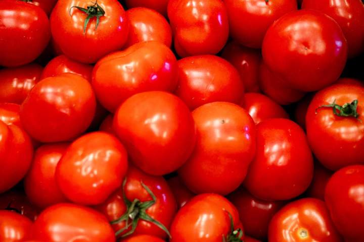 Production et vente d'asperges Le Temple
