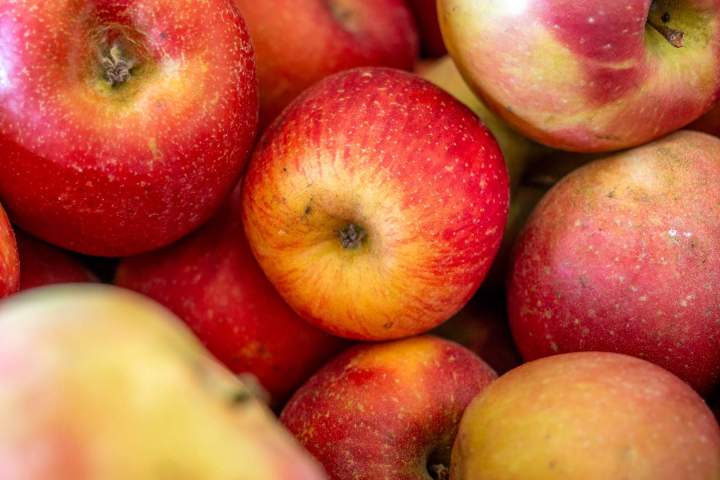 Production et vente d'asperges Le Temple