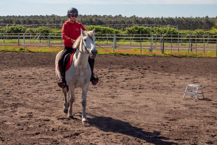 Des cours d’équitation pour tous les niveaux