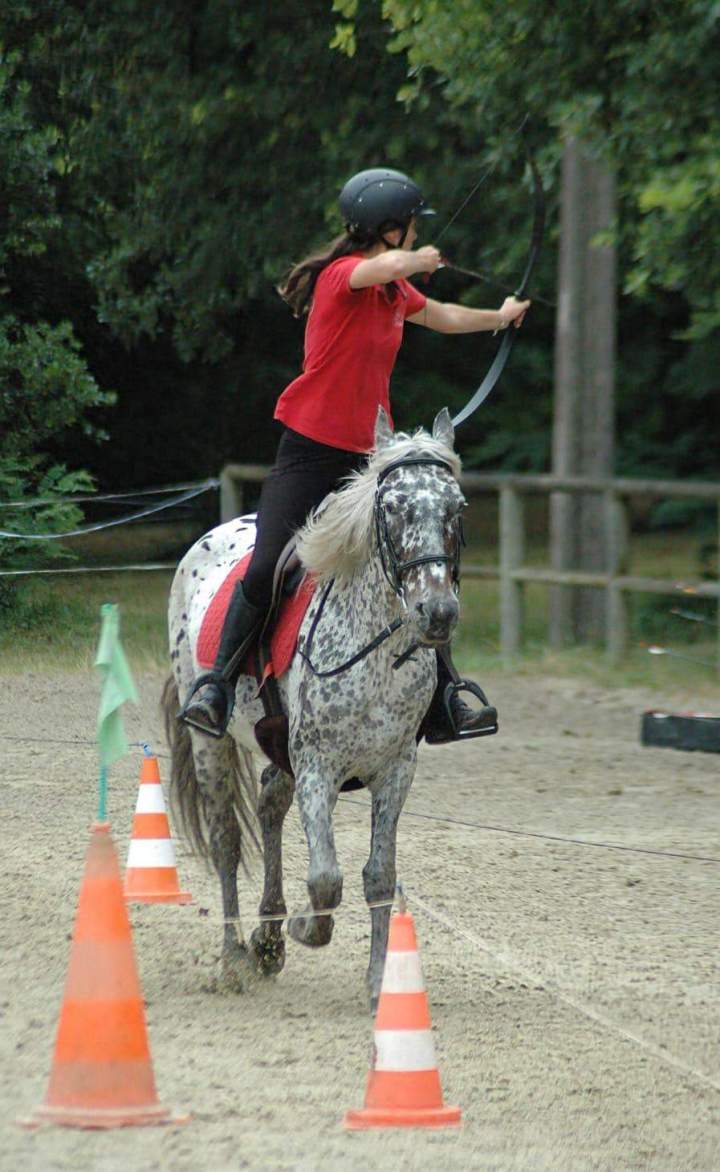 tir à arc en Gironde (35)